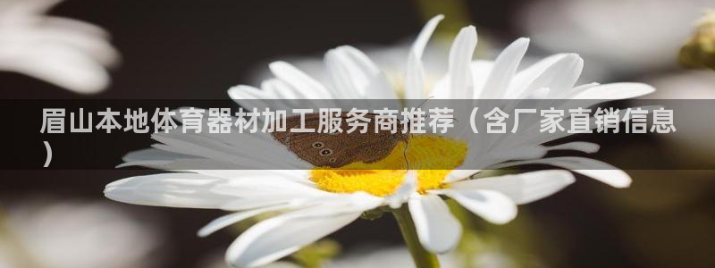 耀世平台代理多少钱一个:眉山本地体育器材加工服务商推荐(含厂