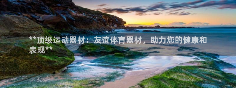 耀世盛典官网:**顶级运动器材:友谊体育器材,助力您的健康和