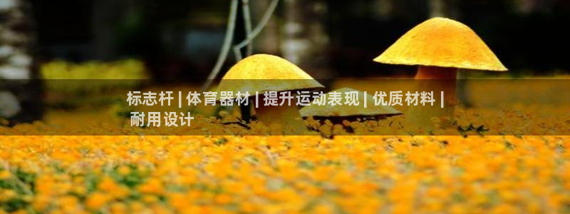 耀世娱乐app下载官网苹果:标志杆 | 体育器材 | 提升运