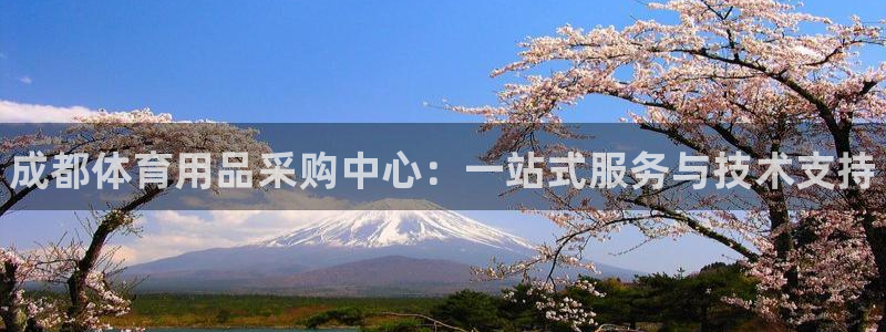 耀世集团董事长:成都体育用品采购中心:一站式服务与技术支持