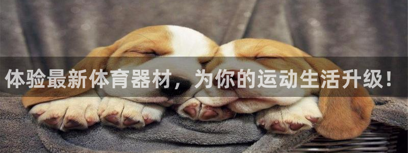 耀世娱乐注册入口在哪:体验最新体育器材,为你的运动生活升级!